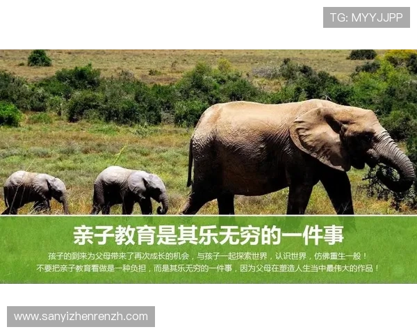 斗牛游戏常见问题解答及解决方案让你无忧畅玩每一局